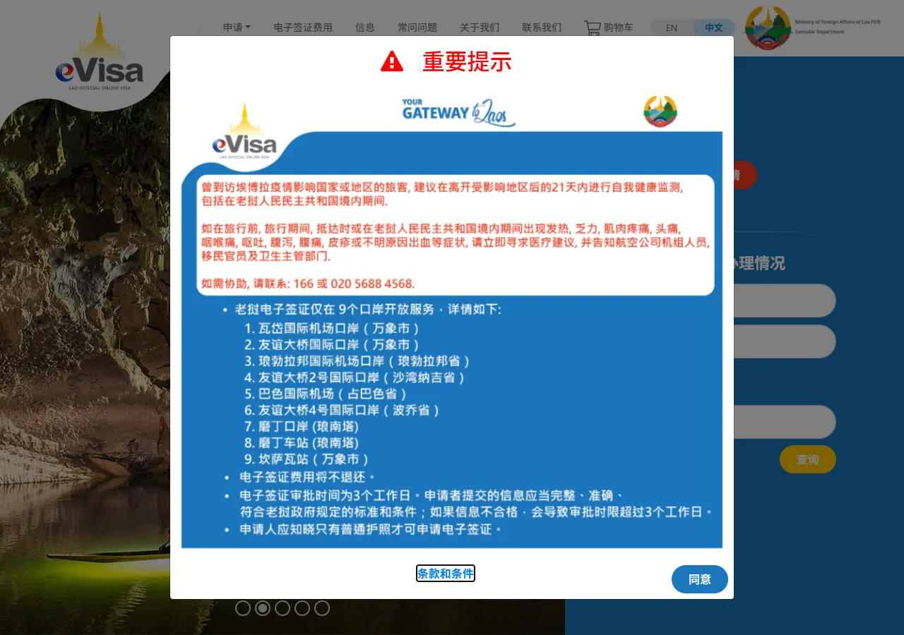 官方入境卡网站截图
