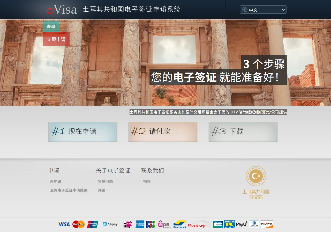 Capture d'écran de l'étape 2 : portail gouvernemental e-Visa Turquie